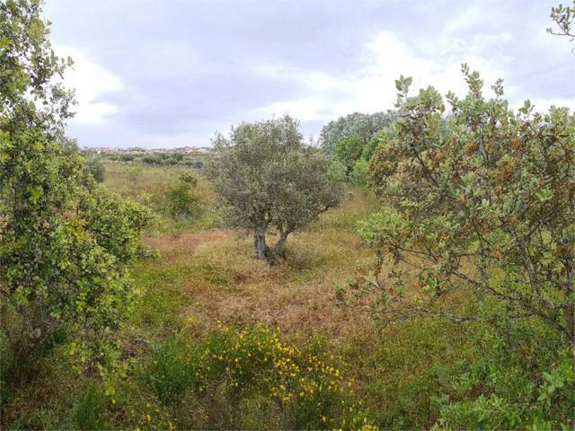 Terreno en Venta en Lugar Diseminados, 71 en Fermoselle