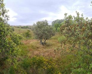 Terreny en venda en Fermoselle