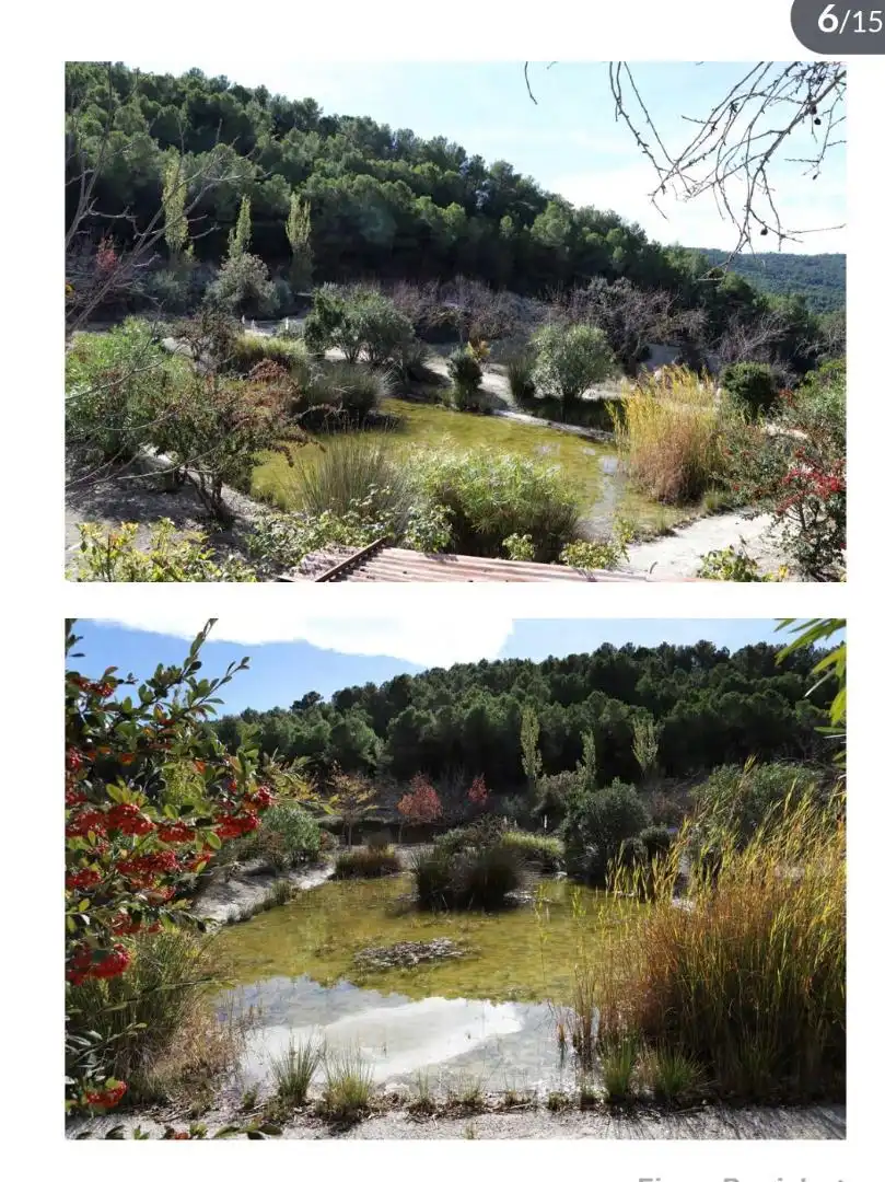 Jardín de Finca rústica en venta en Torremanzanas / La Torre de les Maçanes