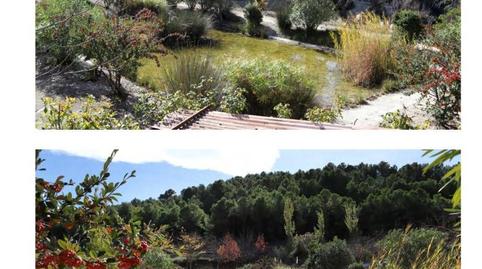 Finca rústica en venda a Avinguda D'espanya, 14, Torremanzanas / La Torre de les Maçanes, Alicante - imatge 5 Foto 5 de Finca rústica en venda a Avinguda D'espanya, 14, Torremanzanas / La Torre de les Maçanes, Alicante