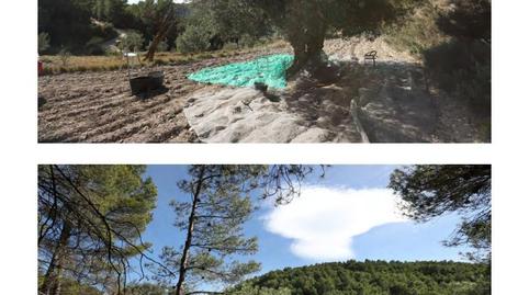 Finca rústica en venda a Avinguda D'espanya, 14, Torremanzanas / La Torre de les Maçanes, Alicante - imatge 4 Foto 4 de Finca rústica en venda a Avinguda D'espanya, 14, Torremanzanas / La Torre de les Maçanes, Alicante