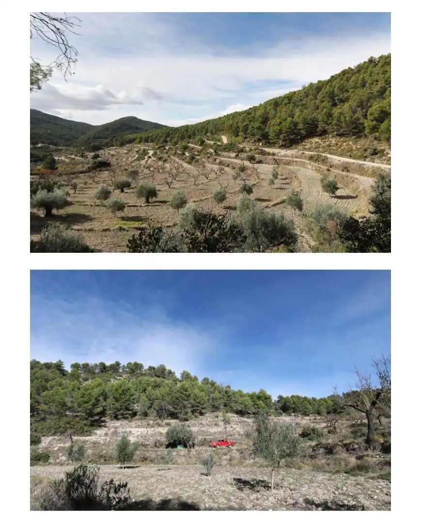 Finca rústica en venta en Torremanzanas / La Torre de les Maçanes
