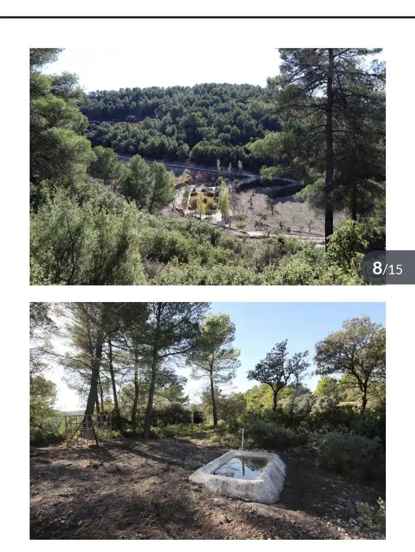 Finca rústica en venta en Torremanzanas / La Torre de les Maçanes