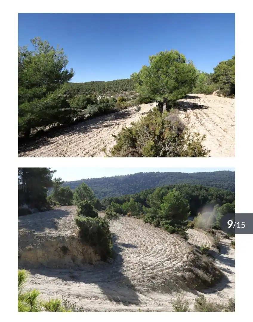 Finca rústica en venta en Torremanzanas / La Torre de les Maçanes