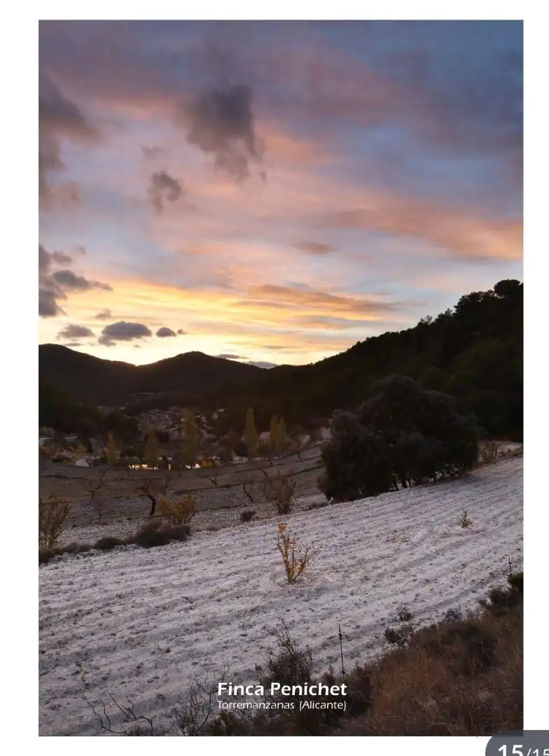 Vista exterior de Finca rústica en venta en Torremanzanas / La Torre de les Maçanes