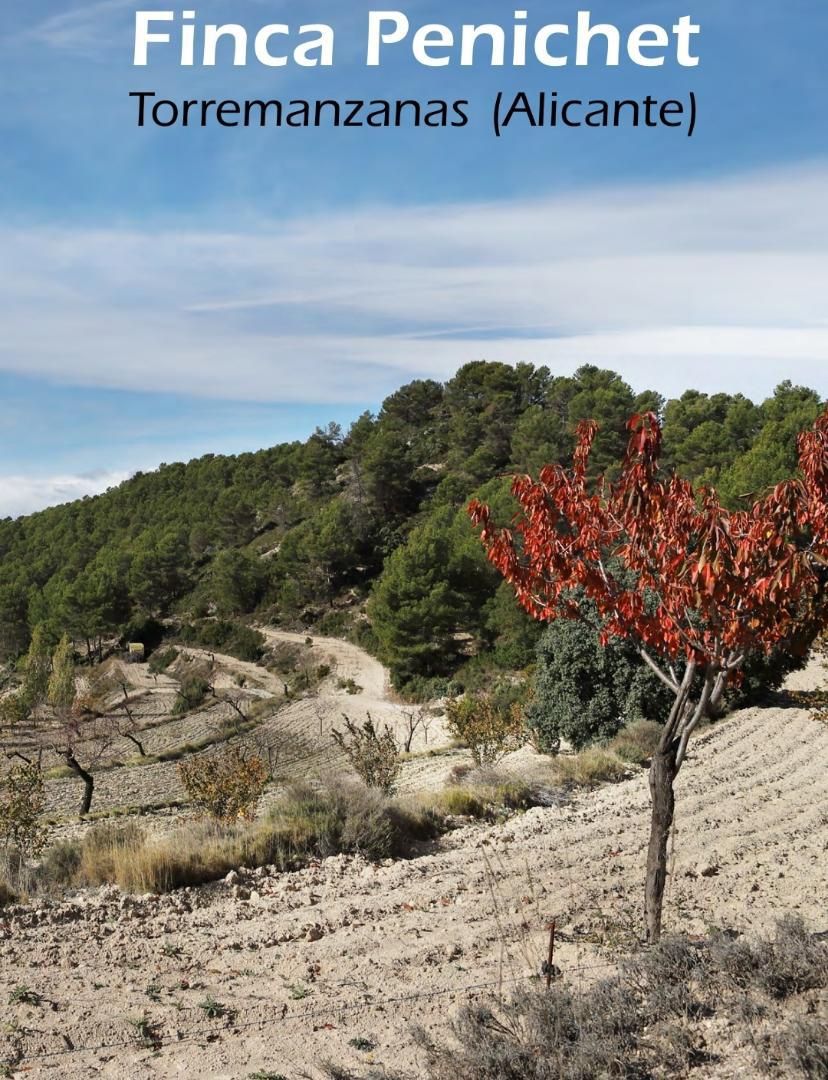 Vista exterior de Finca rústica en venda en Torremanzanas / La Torre de les Maçanes amb Aire condicionat