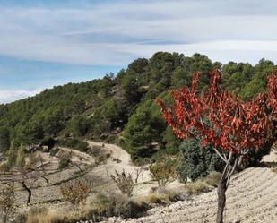 Vista exterior de Finca rústica en venda en Torremanzanas / La Torre de les Maçanes amb Aire condicionat