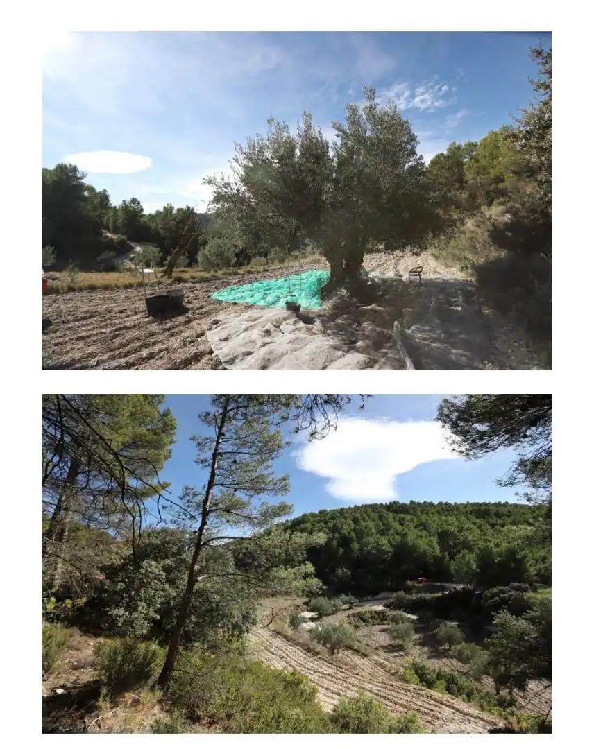 Finca rústica en venta en Avinguda D'espanya, 14, Torremanzanas / La Torre de les Maçanes