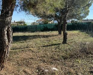 Planta baixa en venda en El Viso de San Juan