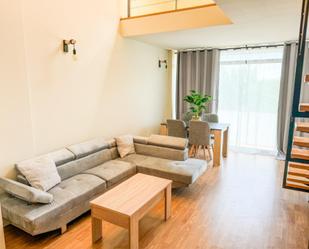 Living room of Duplex to rent in Alcalá de Henares  with Air Conditioner, Parquet flooring and Terrace