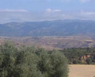 Casa o xalet en venda en Casa de Uceda amb Jardí privat