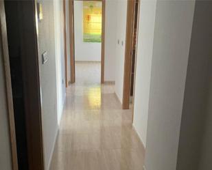 Flat to rent in  Murcia Capital  with Air Conditioner, Swimming Pool and Furnished