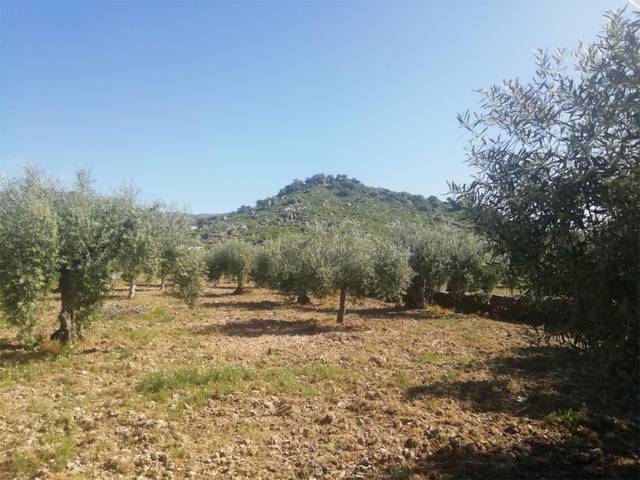 Terreno en Venta en Calle Cervantes, 75 en Arroyomolinos (Cáceres)