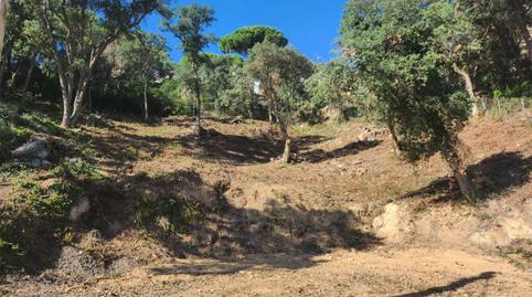 Foto 2 de Urbanitzable en venda a Avinguda Dels Ocells, 72, Serra Brava, Girona