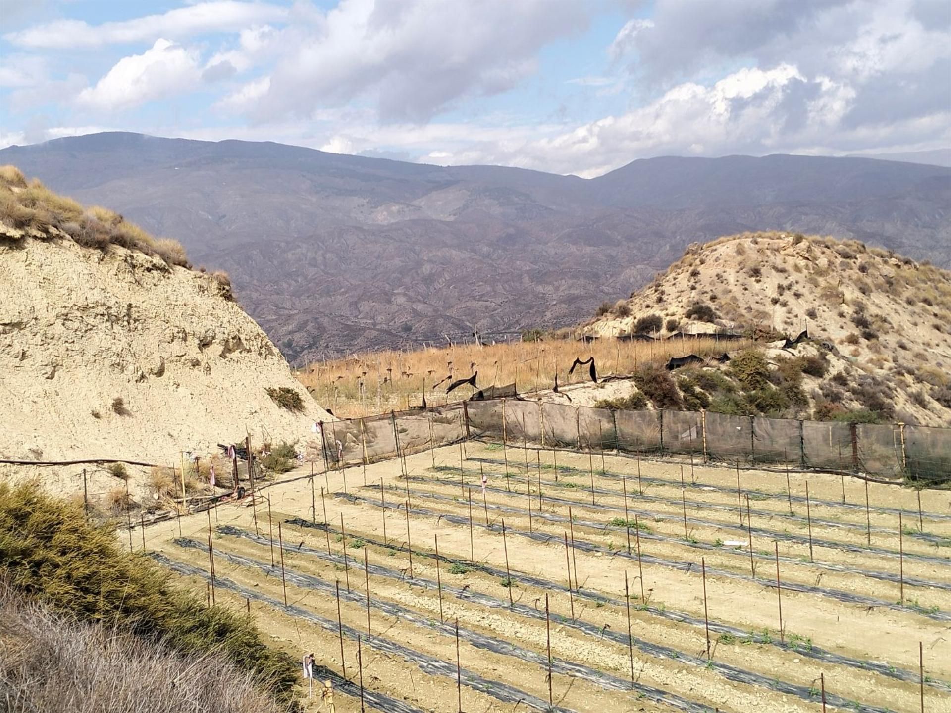Garden of Non-constructible Land for sale in Instinción