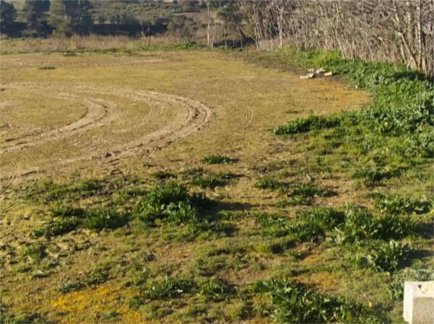 Land for sale in Calle del Rio, 4, Driebes Land for sale in Driebes