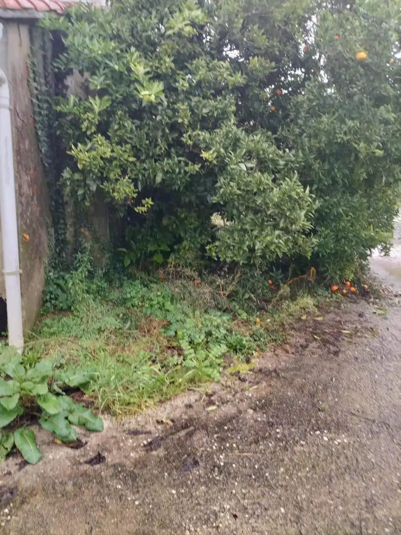 Planta baja en venta en Padrón