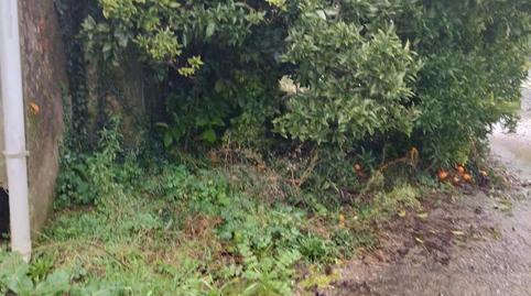 Planta baja for sale in Aldea Loureiro, 11, Padrón, A Coruña - image 2 Photo 2 of Planta baja for sale in Aldea Loureiro, 11, Padrón, A Coruña