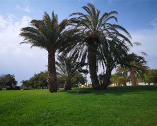 Jardí de Pis de lloguer en Santa Lucía de Tirajana amb Jardí privat, Terrassa i Moblat