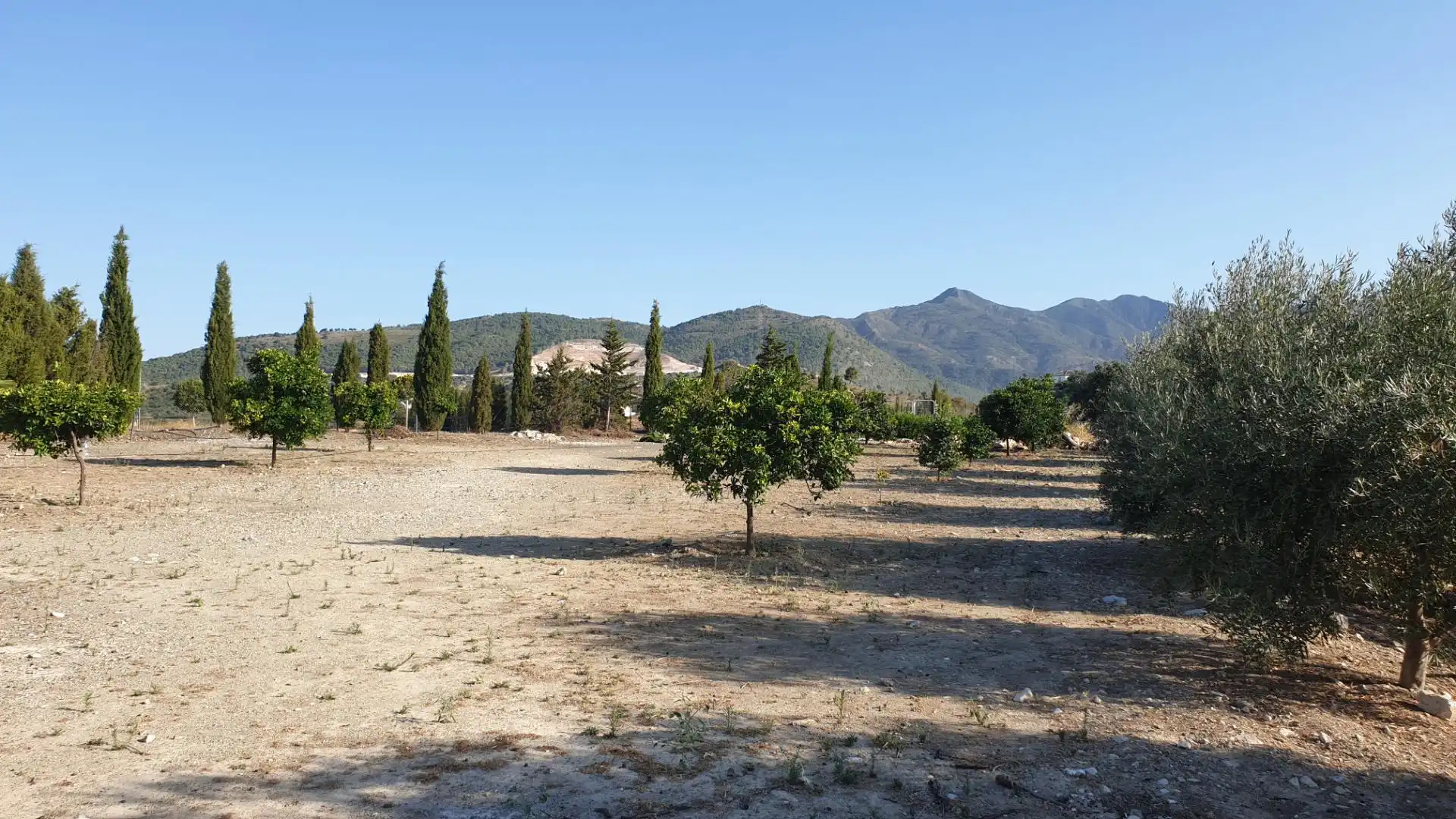 Finca rústica en venda a Lugar Partido Cuesta Blanquilla, 2, Coín Finca rústica en venda en Coín amb Aire condicionat i Piscina