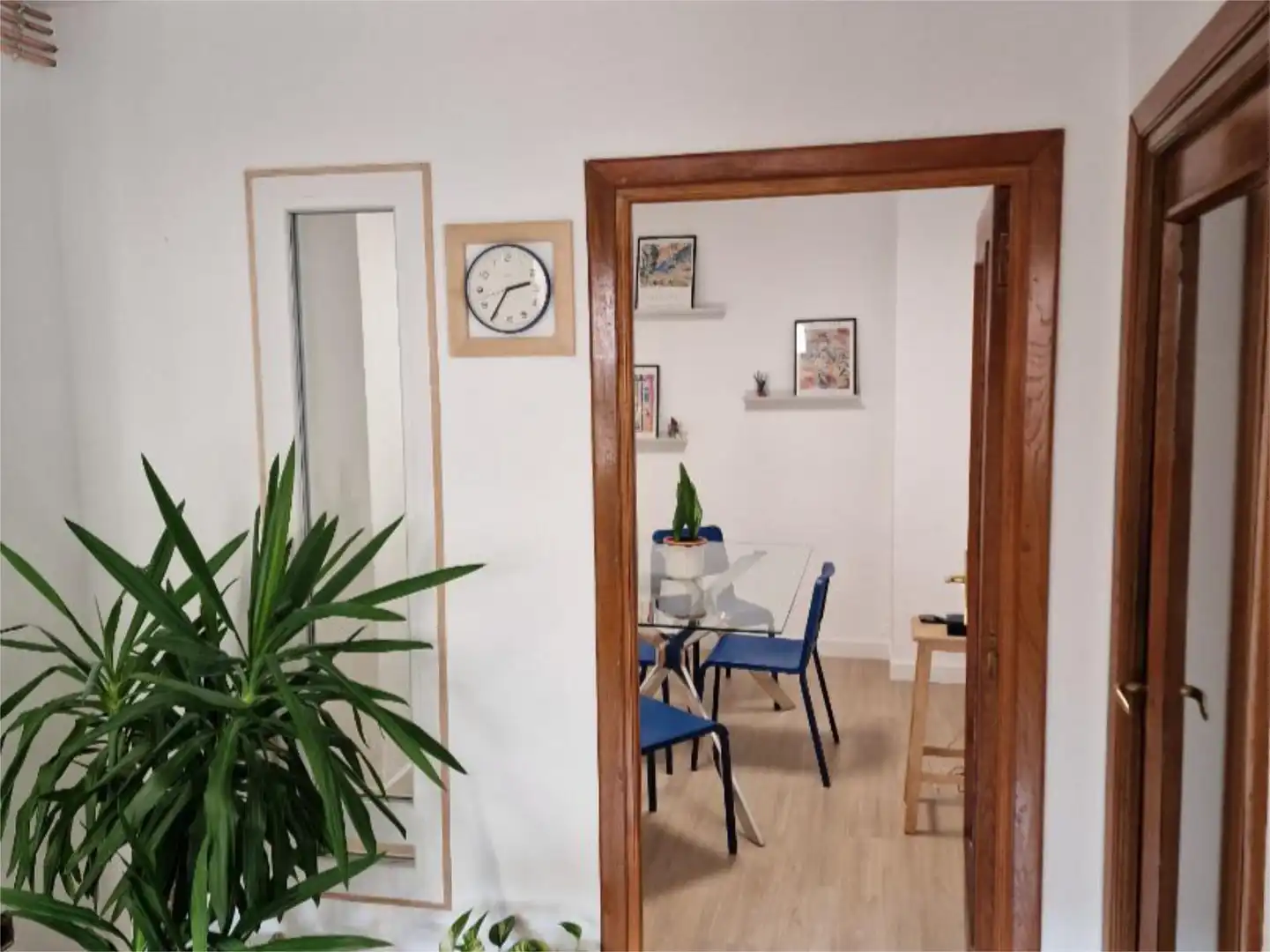 Commercial properties for rent in Plaza Jardin de San Francisco, 1, Casco Antiguo Commercial properties for rent in Plaza Jardin de San Francisco, 1, Casco Antiguo