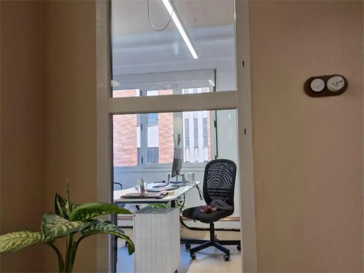 Commercial properties for rent in Plaza Jardin de San Francisco, 1, Casco Antiguo Commercial properties for rent in Plaza Jardin de San Francisco, 1, Casco Antiguo