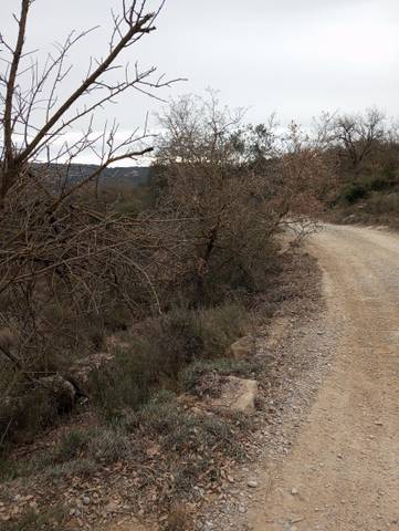 Terreno en Venta en Carrer de la Rectoria, 2 en Biosca