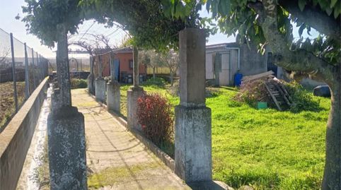 Foto 5 de Terreno en venta en Cm-4101, 18, Patrocinio - Nueva Talavera, Talavera de la Reina