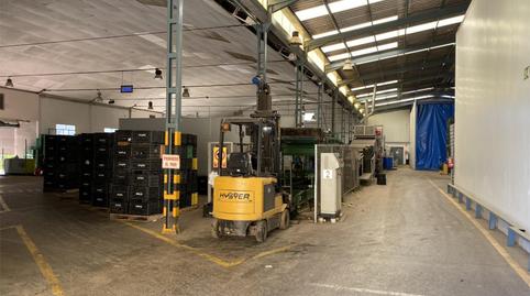 Photo 4 of Industrial buildings to rent in Vereda de las Palmeras, 24, Los Ramos, Murcia