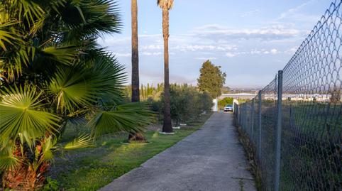 Country house for sale in Calle Almenara, 1, El Rocío - La Milagrosa, Cádiz - image 2 Photo 2 of Country house for sale in Calle Almenara, 1, El Rocío - La Milagrosa, Cádiz