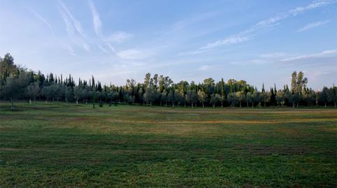 Country house for sale in Calle Almenara, 1, El Rocío - La Milagrosa, Cádiz - image 5 Photo 5 of Country house for sale in Calle Almenara, 1, El Rocío - La Milagrosa, Cádiz