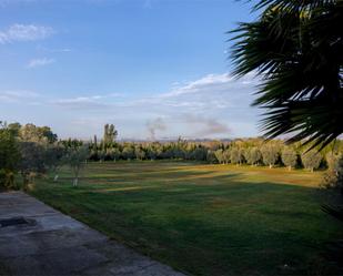 Garden of Country house for sale in Jerez de la Frontera  with Private garden and Terrace