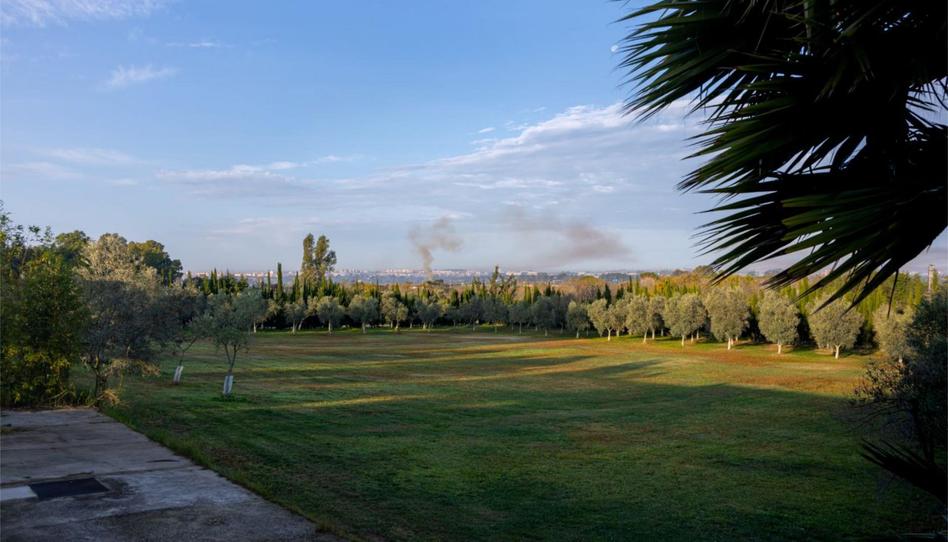 Country house for sale in Calle Almenara, 1, El Rocío - La Milagrosa, Cádiz - image 1 Photo 1 of Country house for sale in Calle Almenara, 1, El Rocío - La Milagrosa, Cádiz