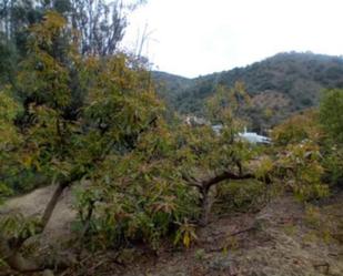 Vista exterior de Casa o xalet en venda en Alozaina amb Terrassa