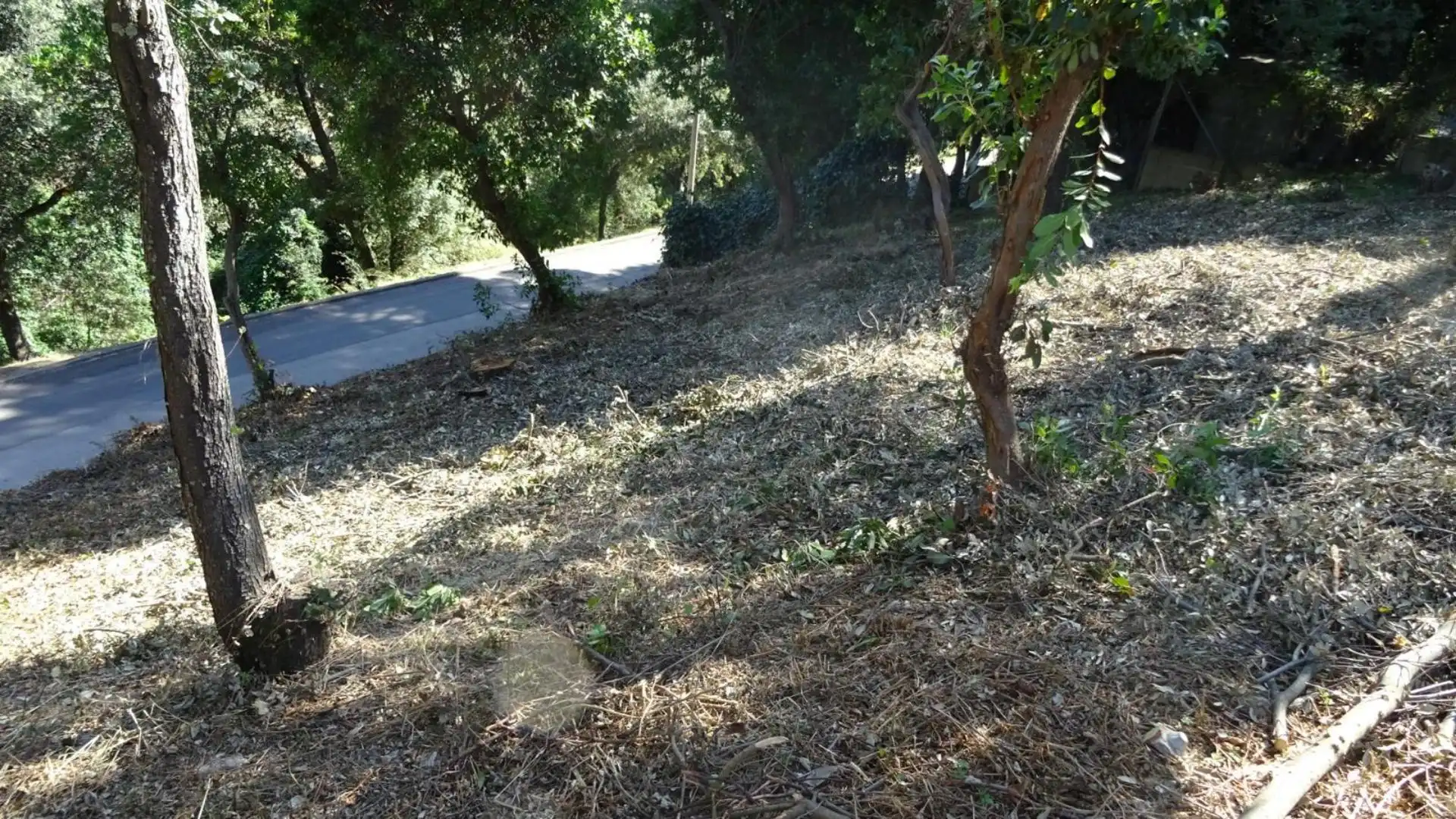 Finca rústica en venta en Mollet del Vallès