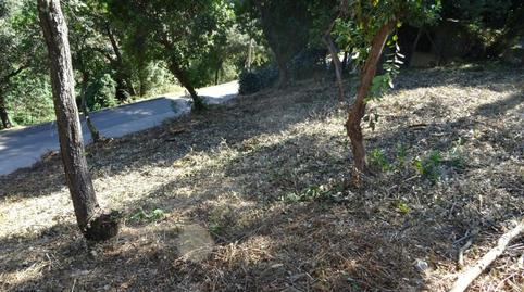 Finca rústica en venta en Carrer de Berenguer III, 13, Estació de França, Barcelona - imagen 3 Foto 3 de Finca rústica en venta en Carrer de Berenguer III, 13, Estació de França, Barcelona