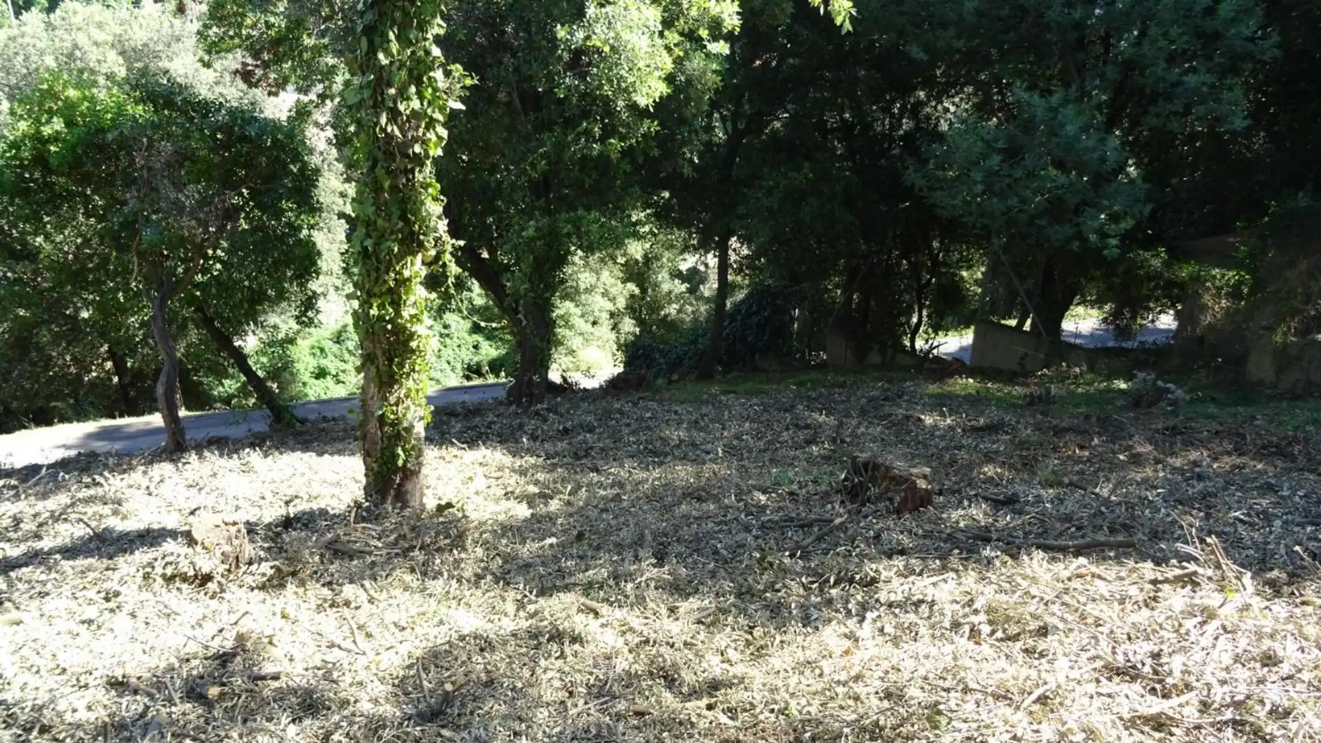Finca rústica en venta en Mollet del Vallès