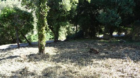 Finca rústica en venta en Carrer de Berenguer III, 13, Estació de França, Barcelona - imagen 5 Foto 5 de Finca rústica en venta en Carrer de Berenguer III, 13, Estació de França, Barcelona