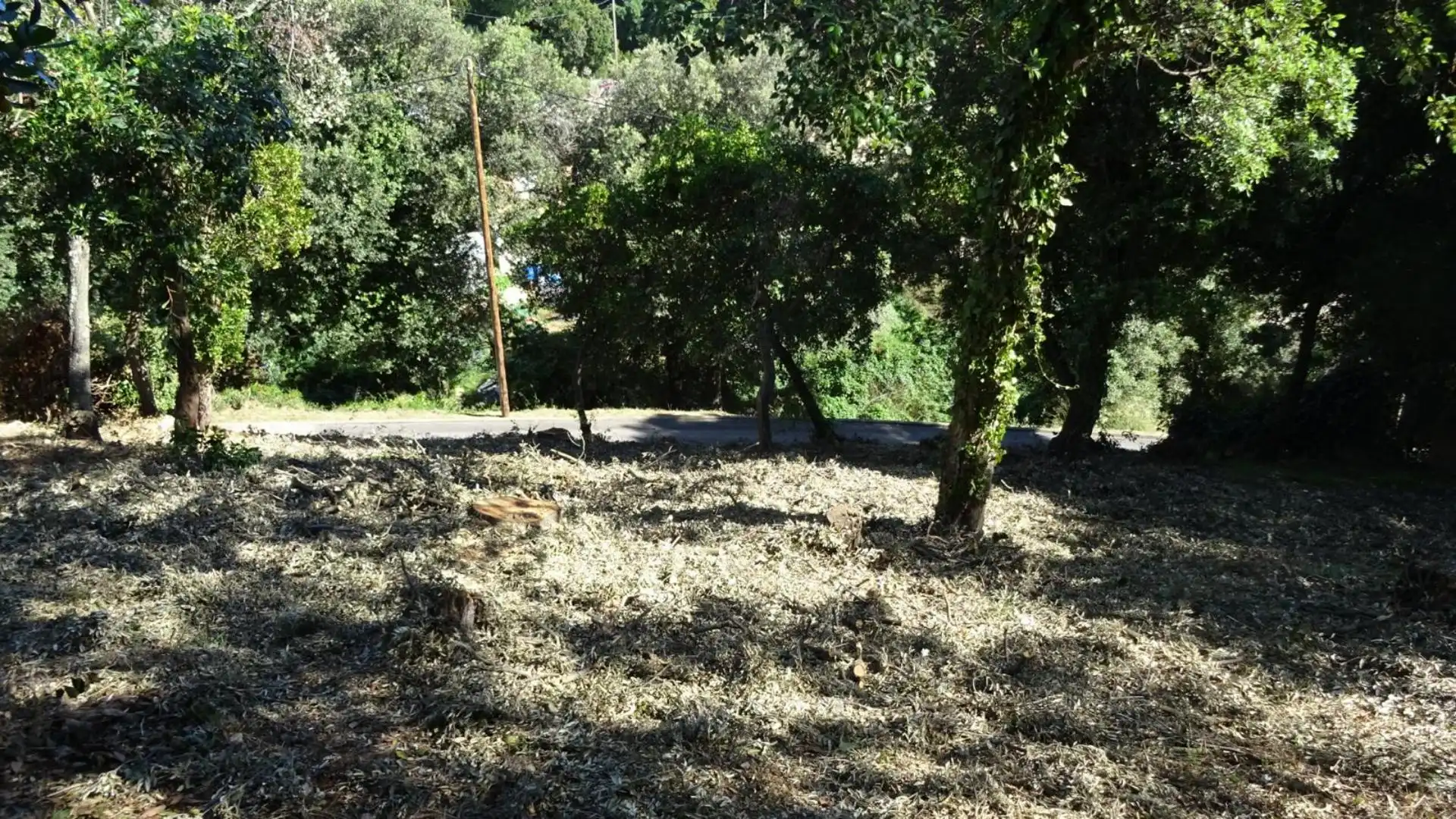 Finca rústica en venta en Mollet del Vallès