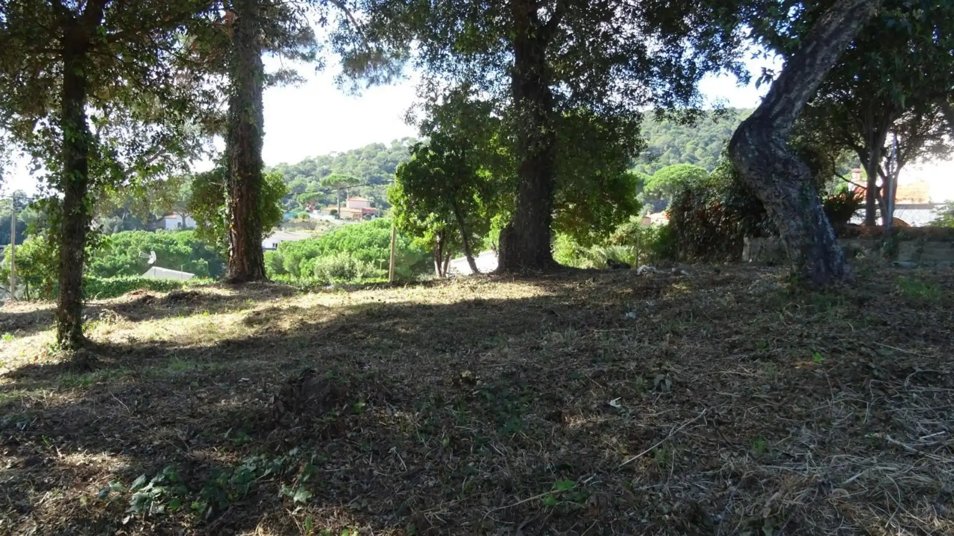 Finca rústica en venta en Mollet del Vallès