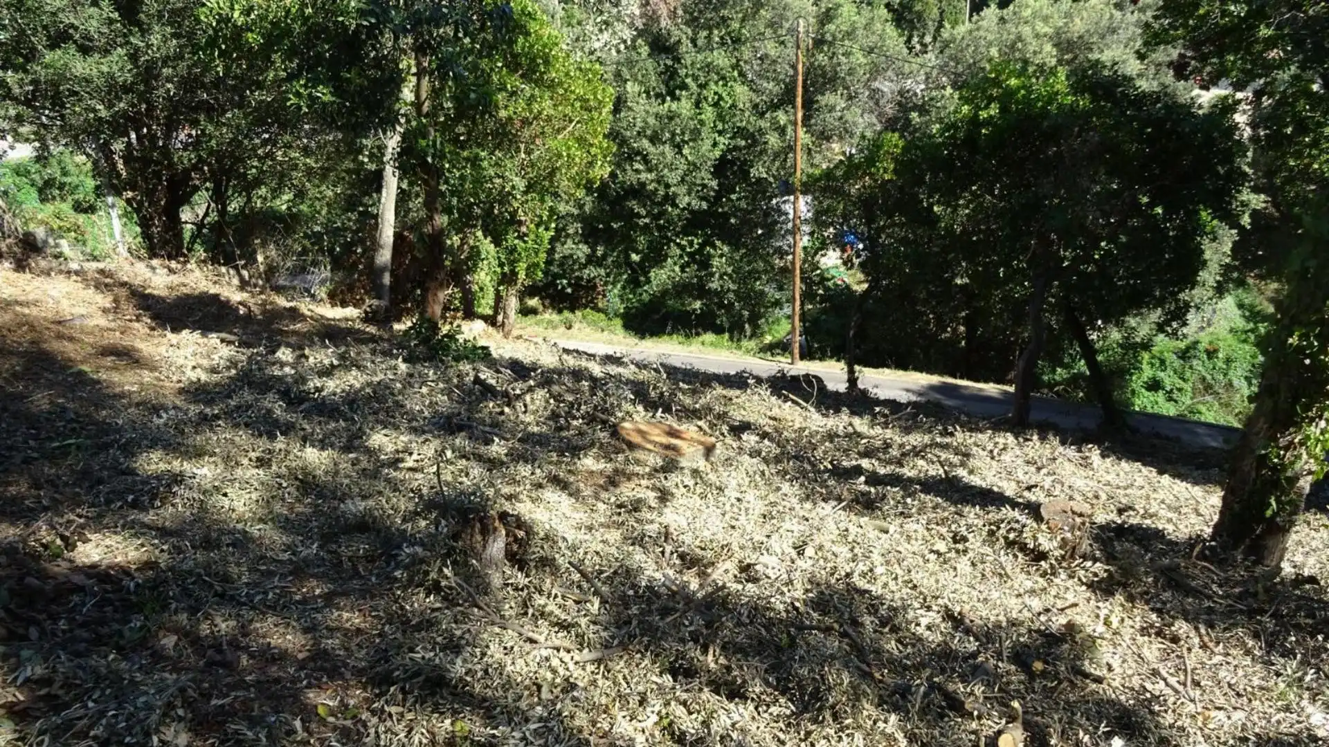 Finca rústica en venta en Mollet del Vallès