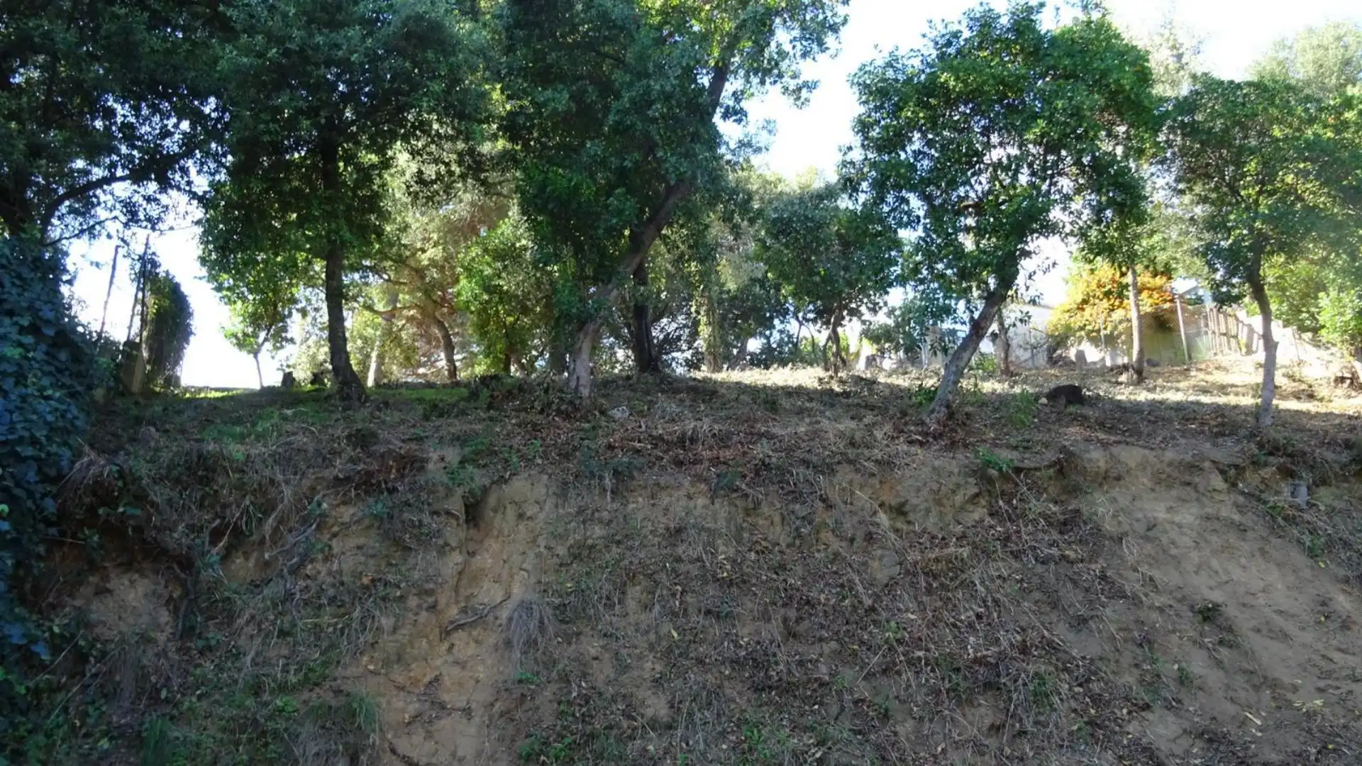 Finca rústica en venta en Mollet del Vallès