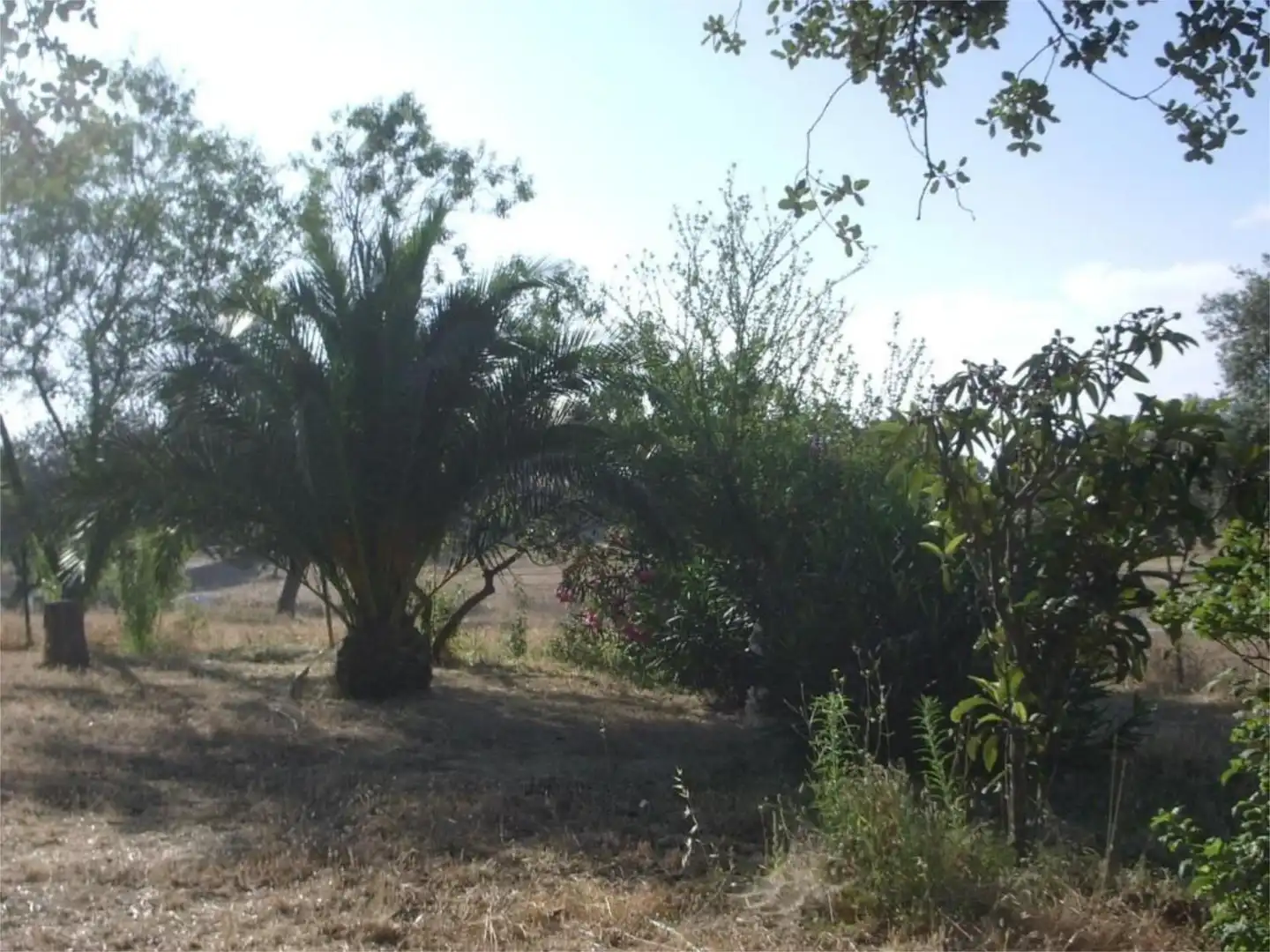 Finca rústica en venta en Avenida de la Cabalgata, 39, Higuera de la Sierra Finca rústica en venta en Higuera de la Sierra con Aire acondicionado, Terraza y Piscina