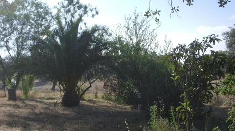 Photo 4 of Country house for sale in Avenida de la Cabalgata, 39, Higuera de la Sierra, Huelva