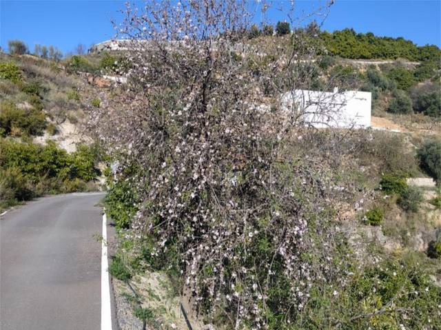 Terreno en Venta en del Canal, 4 en Los Guajares