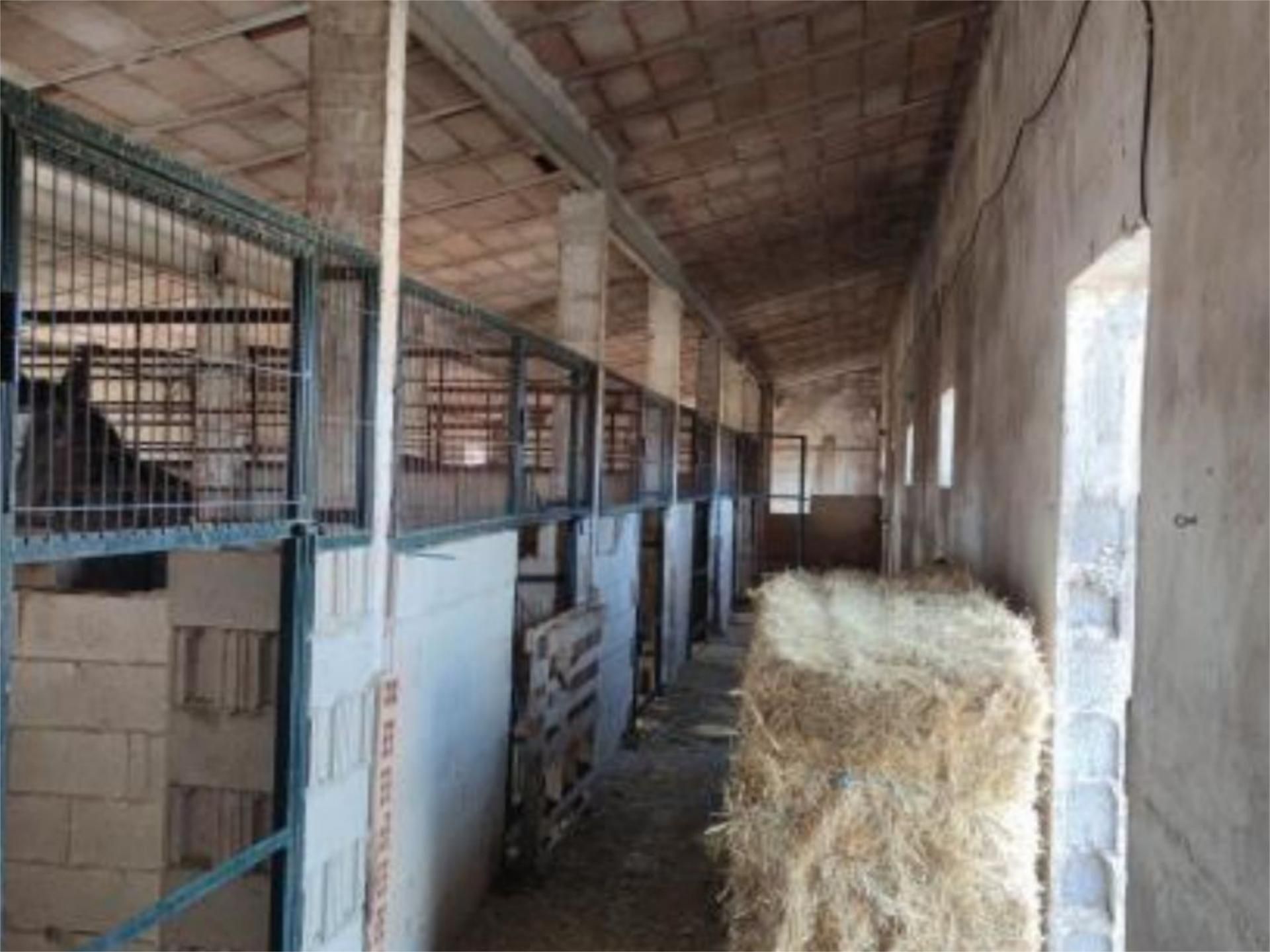 Finca rústica en venda en Camporrobles