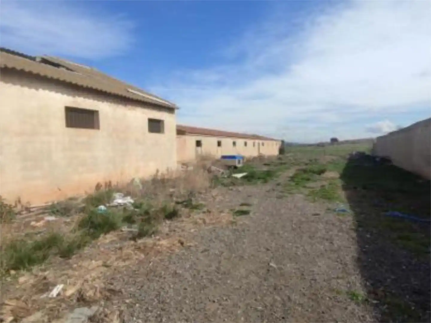 Finca rústica de alquiler en Avenida de la Constitución, 45, Camporrobles