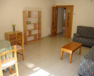 Living room of Flat to share in Ávila Capital