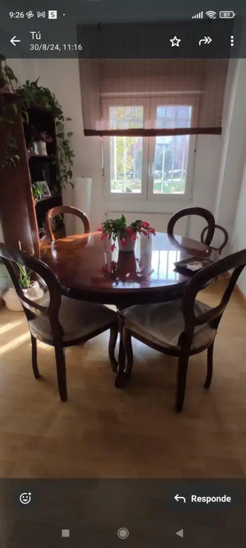 Comedor de Piso para compartir en Madrid con Calefacción, Parquet y Terraza
