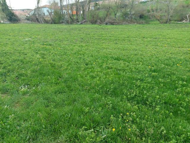 Terreno en Venta en Calle el Hoyo, 23 en Suellacabras